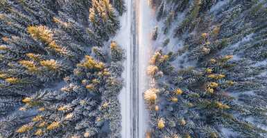 Az erdő telepítés során is nagy haszna lehet a drónoknak, nézd meg hogyan! Nézzétek meg Ti is hogyan használhatjátok a drónokat a mezőgazdaságban!